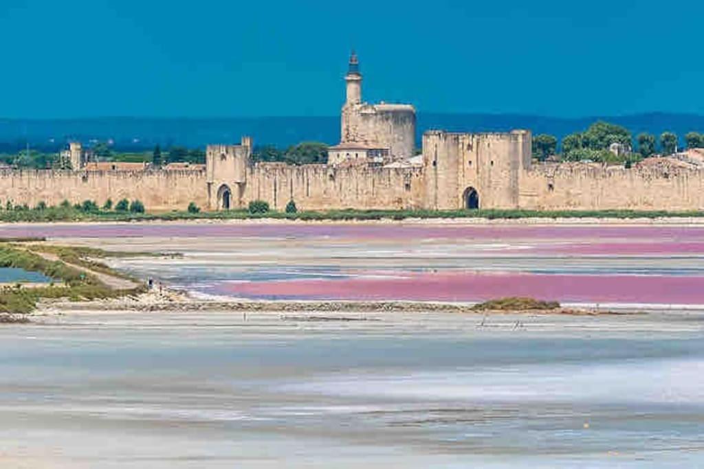Maison Chaleureuse A 5 Mins Des Remparts Aigues-Mortes Exterior photo